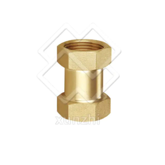 Spring Check Valve