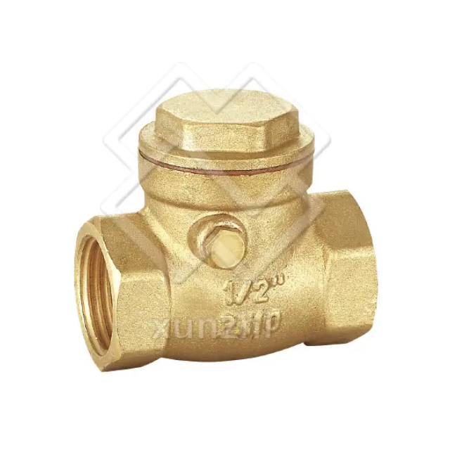 Swing Check Valve