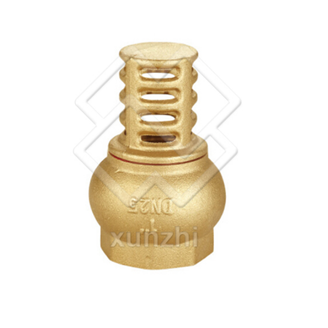 Brass Foot Valve