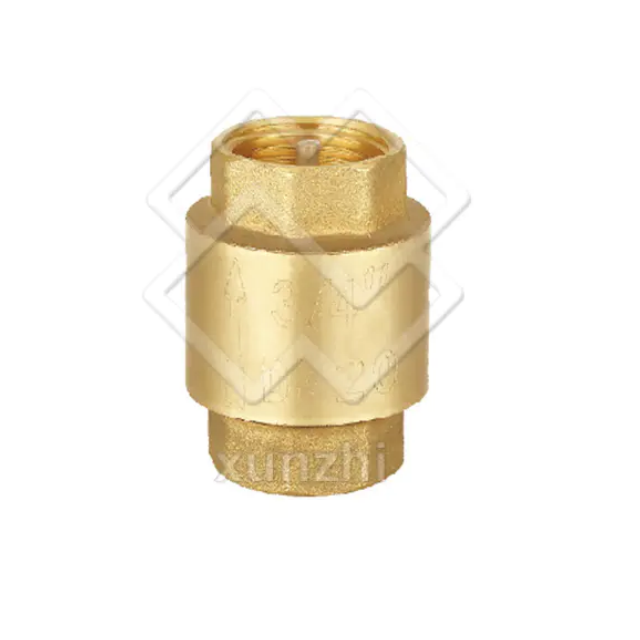 Spring Check Valve