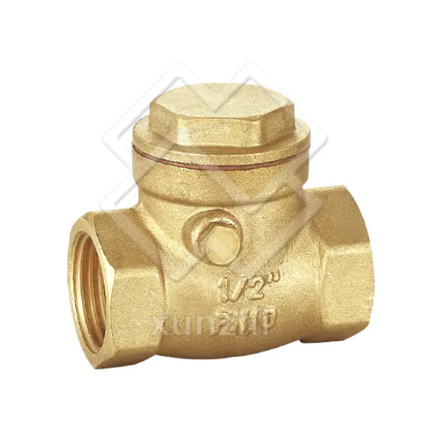 Swing Check Valve