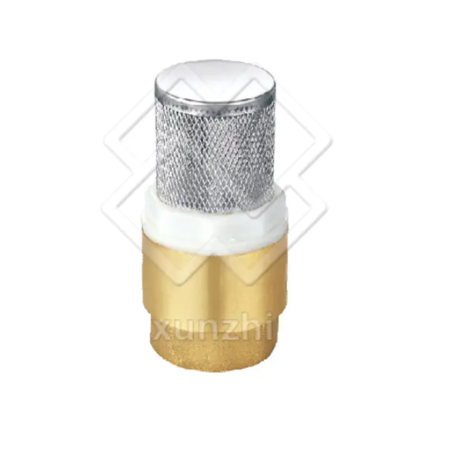 Spring Check Valve