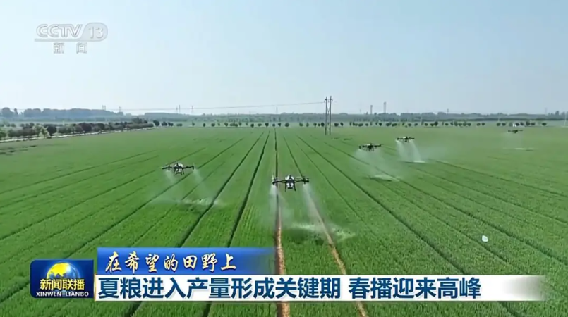 拨款近20亿元！全国打响夏粮保卫战