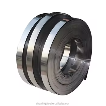 Stainless Steel Strip