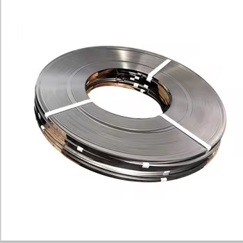 Stainless Steel Strip