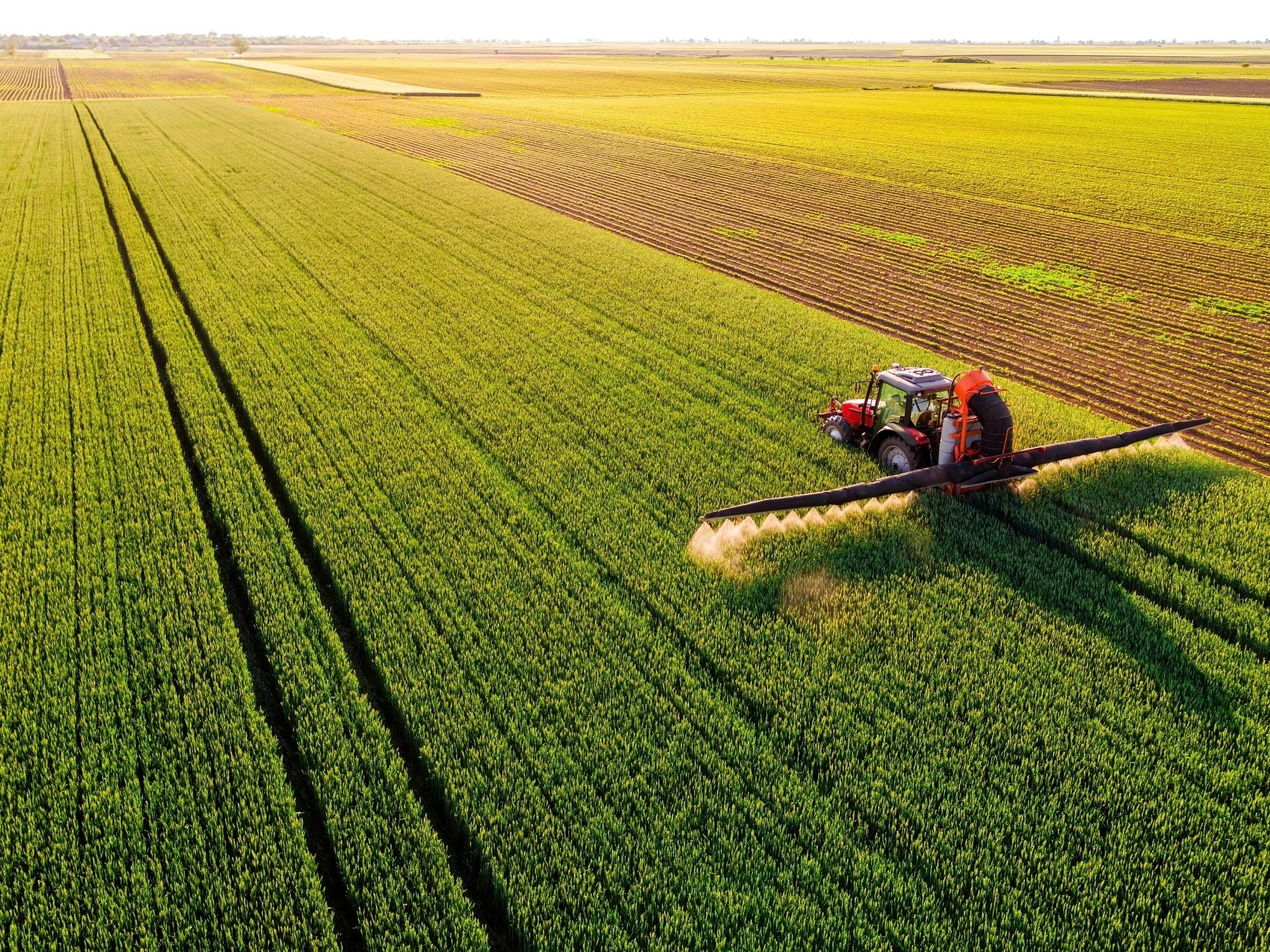 Chemical fertilizer products Chemical fertilizer products