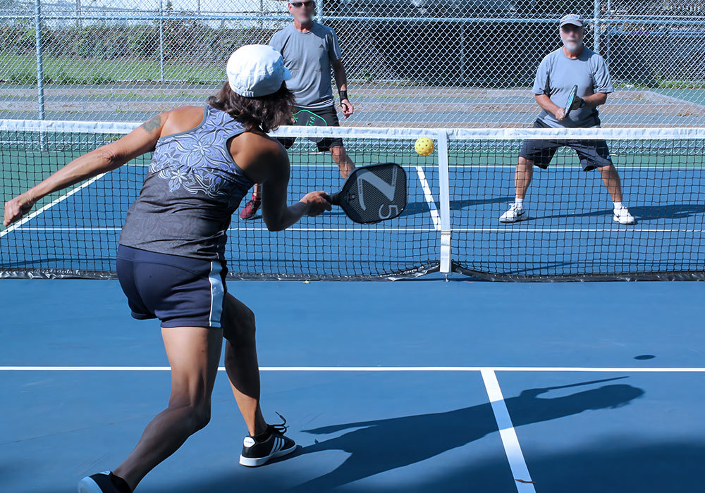 Pickleball Court Pickleball Court