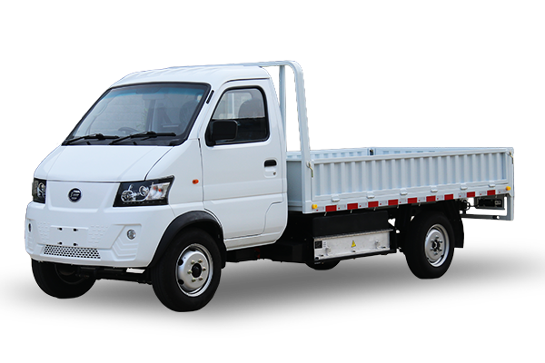 EV Mini Truck(RHD)