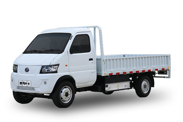 EV Mini Truck(RHD)
