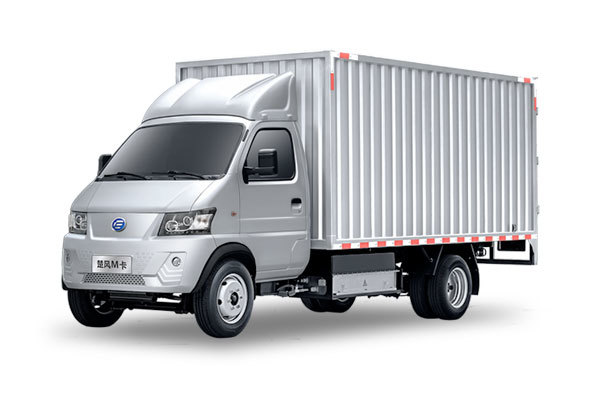 4T EV Small Cargo Truck(LHD/RHD)