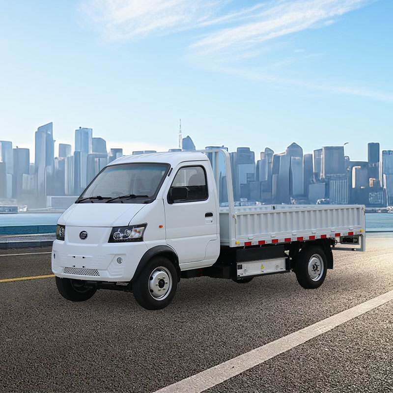 Electric Cargo Trucks(RHD)