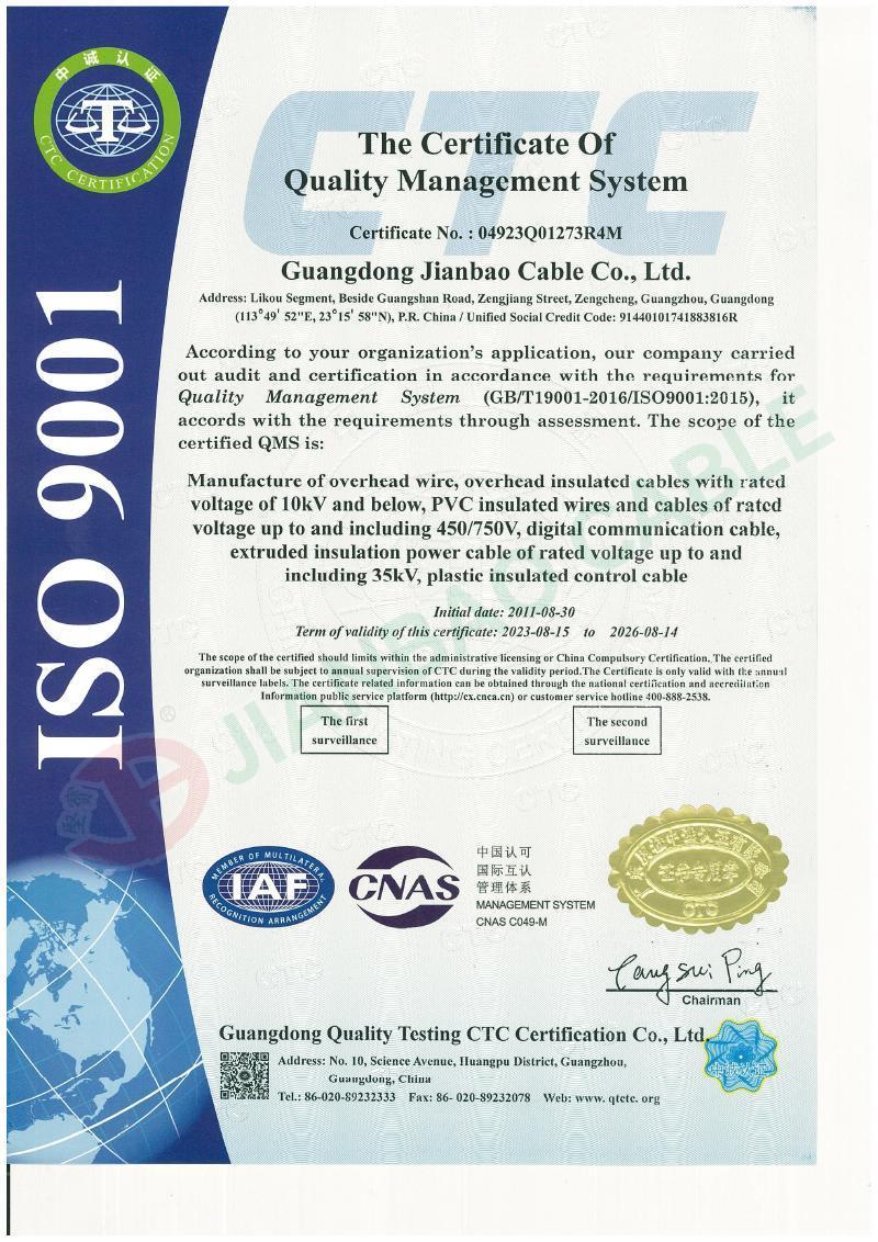 ISO 9001