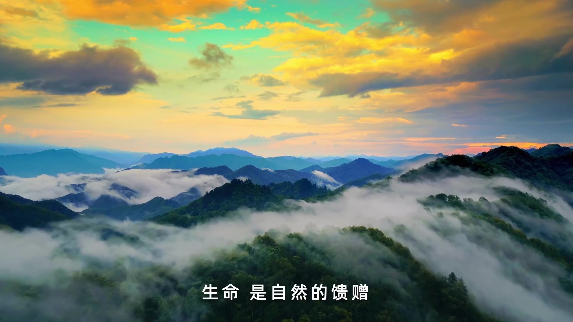 企业宣传片