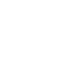 Metal Bed