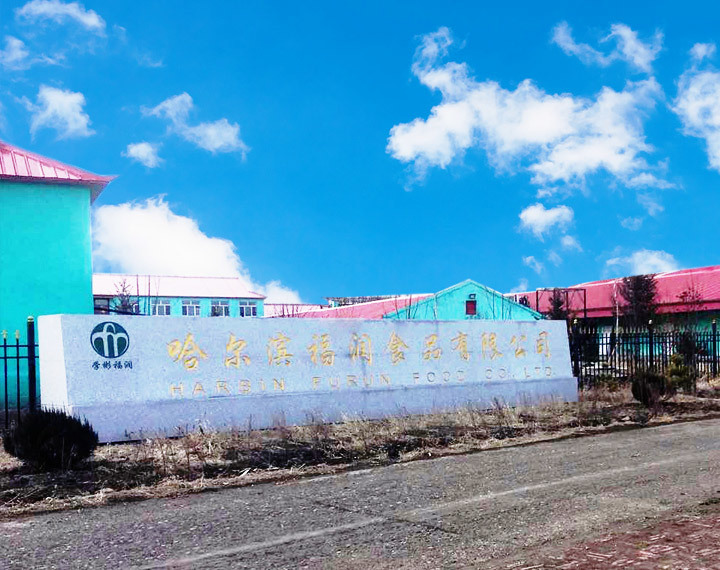 公司简介