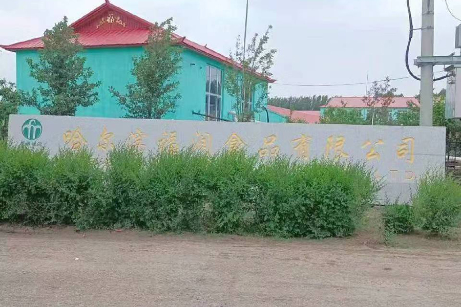 厂区厂貌