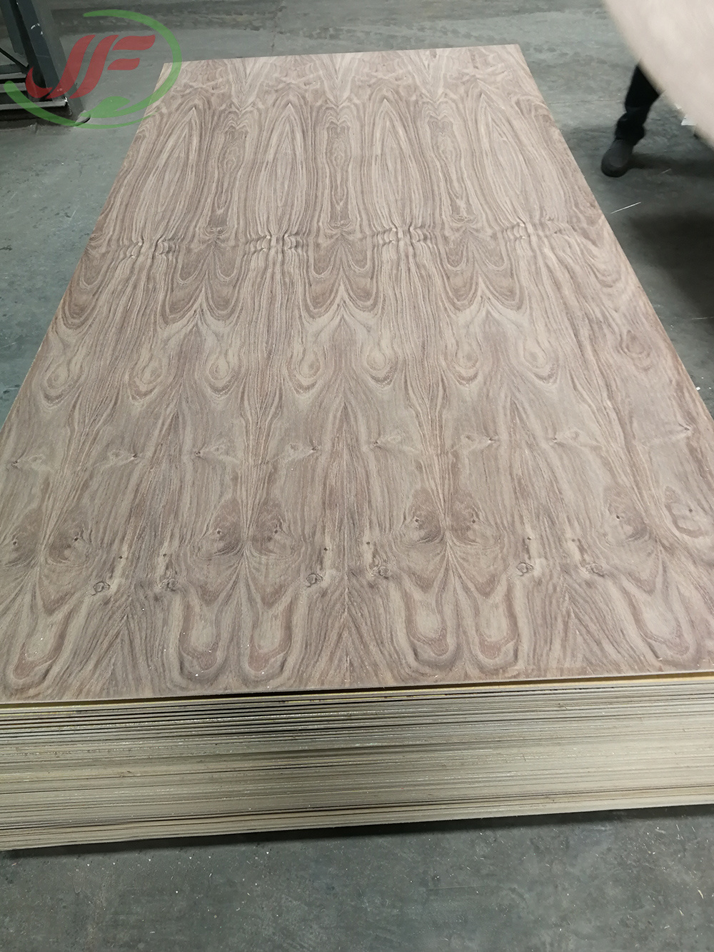 TZALAM FANCY BOARD