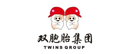 双胞胎集团