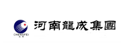 河南龙成集团