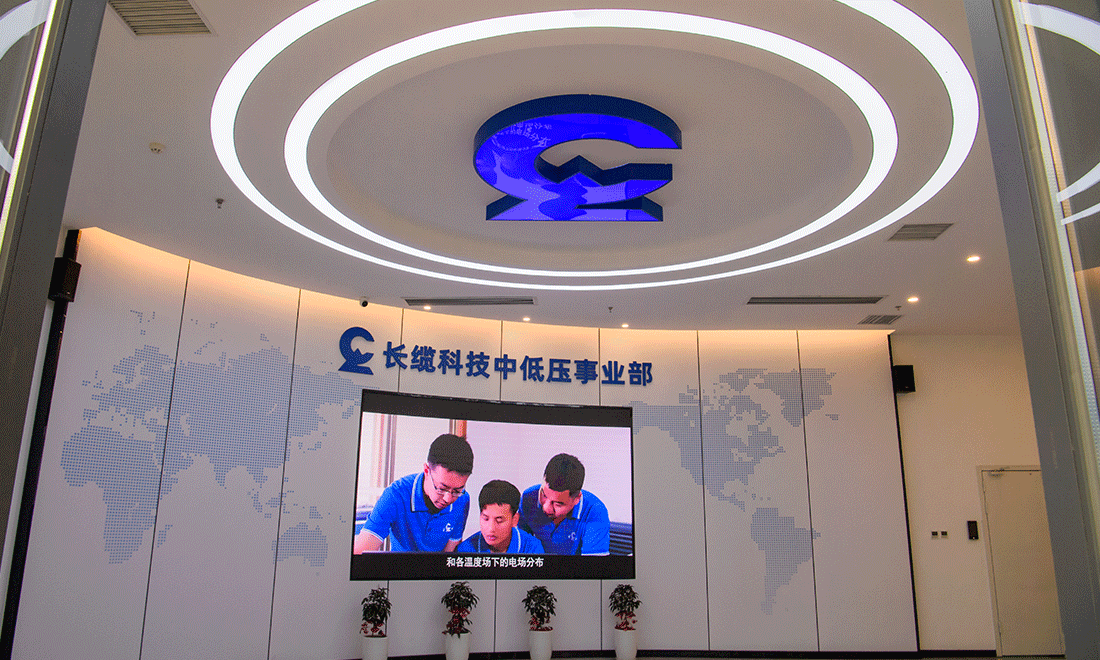 Medium and Low-voltage Products Division