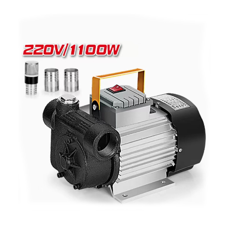 Large flow electric diesel pump