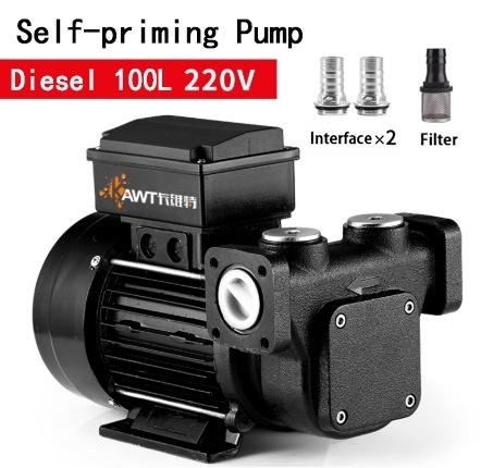 High flow diesel pump