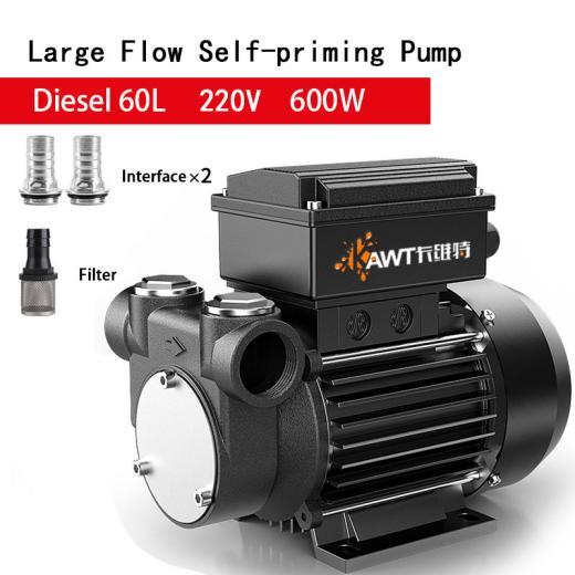 Electric Diesel Pump 600W
