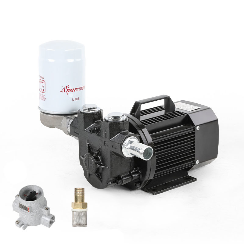 explosion-proof pump + filter combination