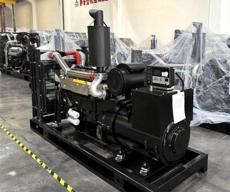 Diesel Generator Set