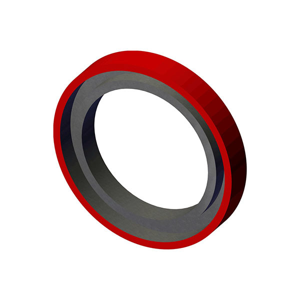 Oil Seal