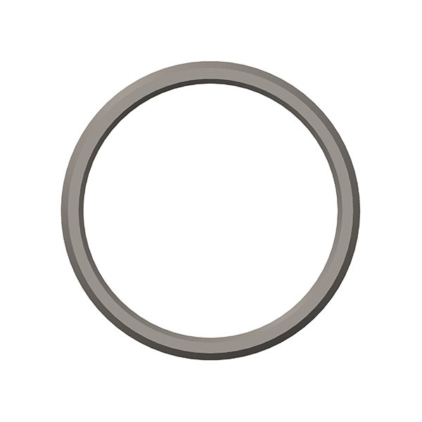 Valve Insert