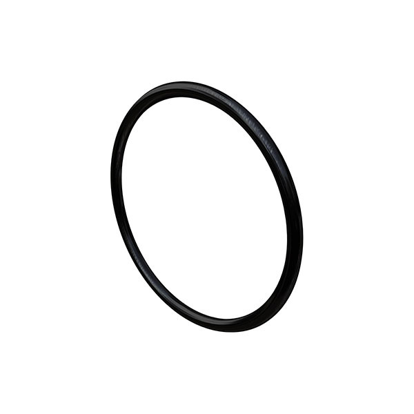 O Ring Seal
