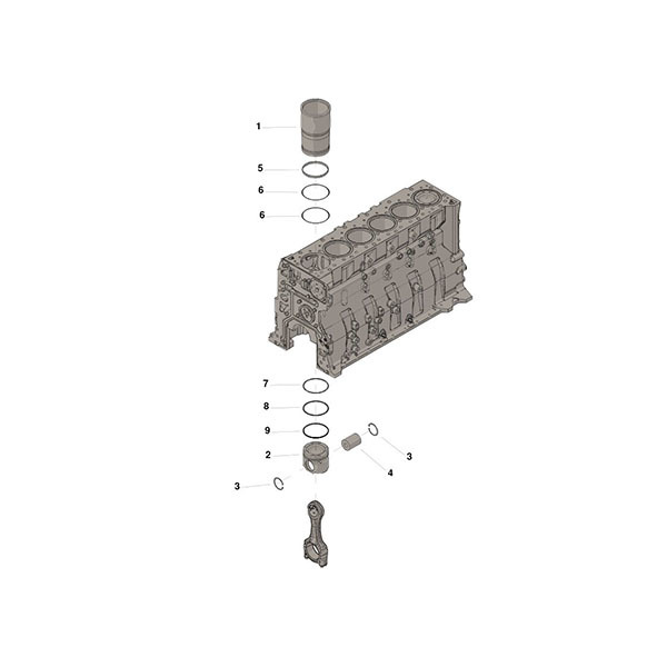 Cylinder Kit