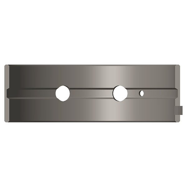 Main Bearing
