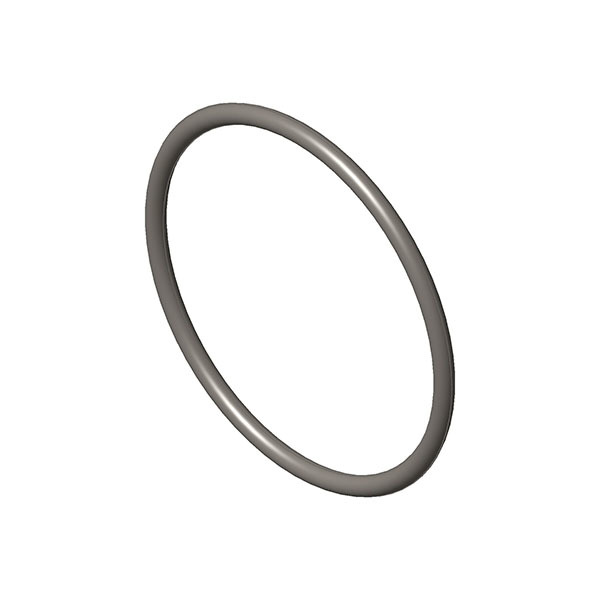 O Ring Seal