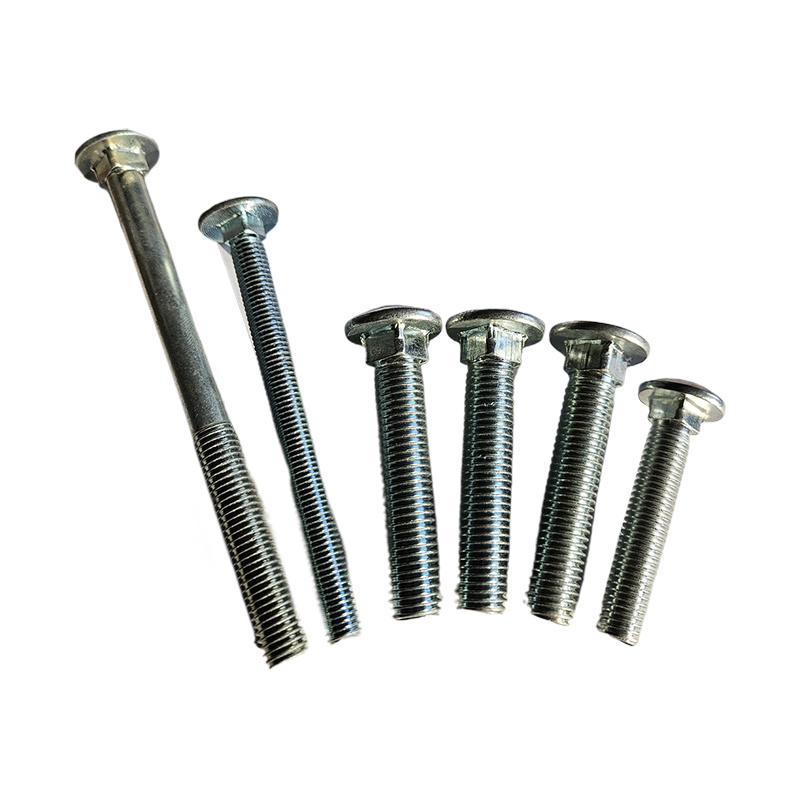 Carriage Bolts