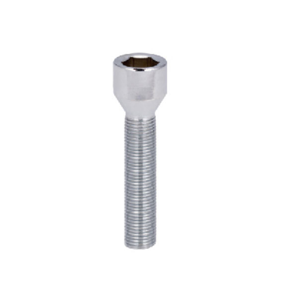 Hexagon socket bolt
