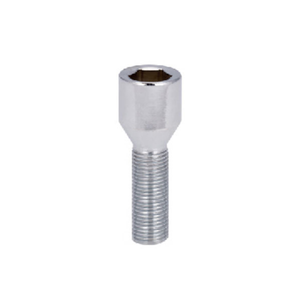 Hexagon socket bolt