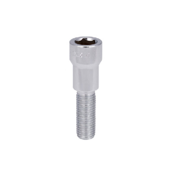Hexagon socket bolt