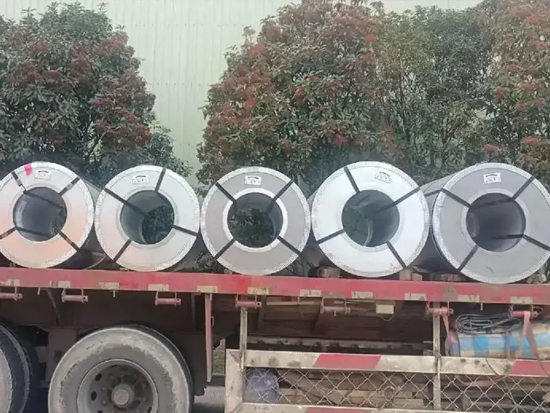 Shipping & Packaging Shipping & Packaging