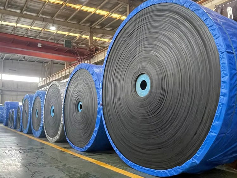 Cold Resistant Steel Cord Conveyor Belt