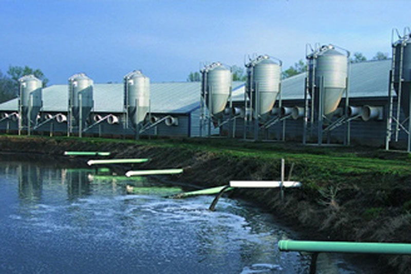 Environmental protection and wastewater treatment