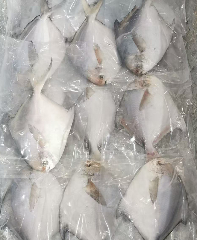 板凍鯧魚