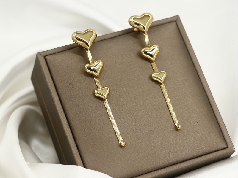 Heart long tassel earrings