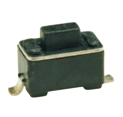 TS-1101