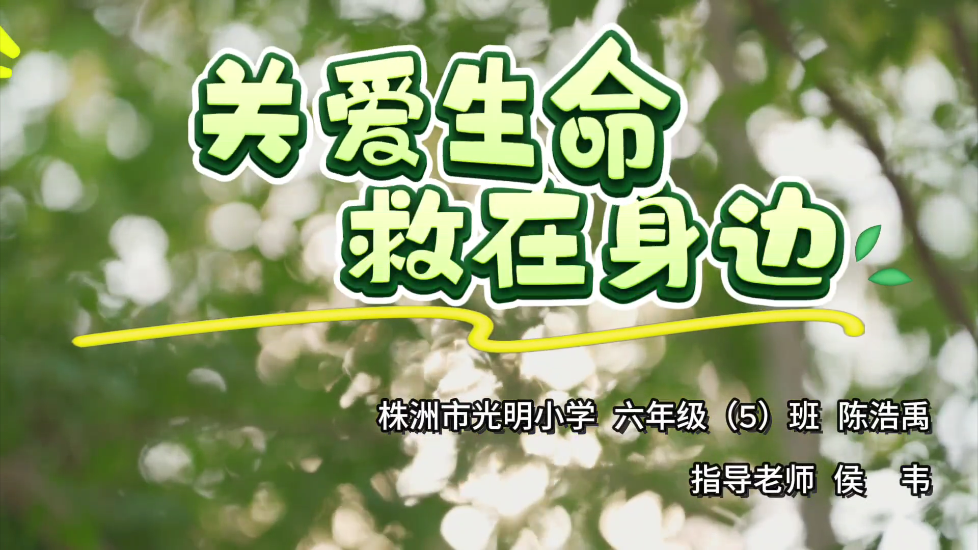现场救护专业委员会:(第一目击者现场救护中小学生科普比赛-关爱生命,救在身边) 现场救护专业委员会:(第一目击者现场救护中小学生科普比赛-关爱生命,救在身边)