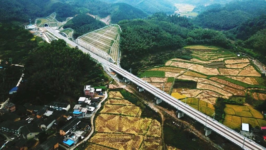 图片名称