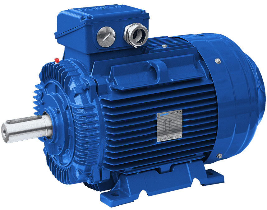 SSWE Series IE4