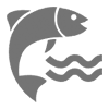 Aquakultur