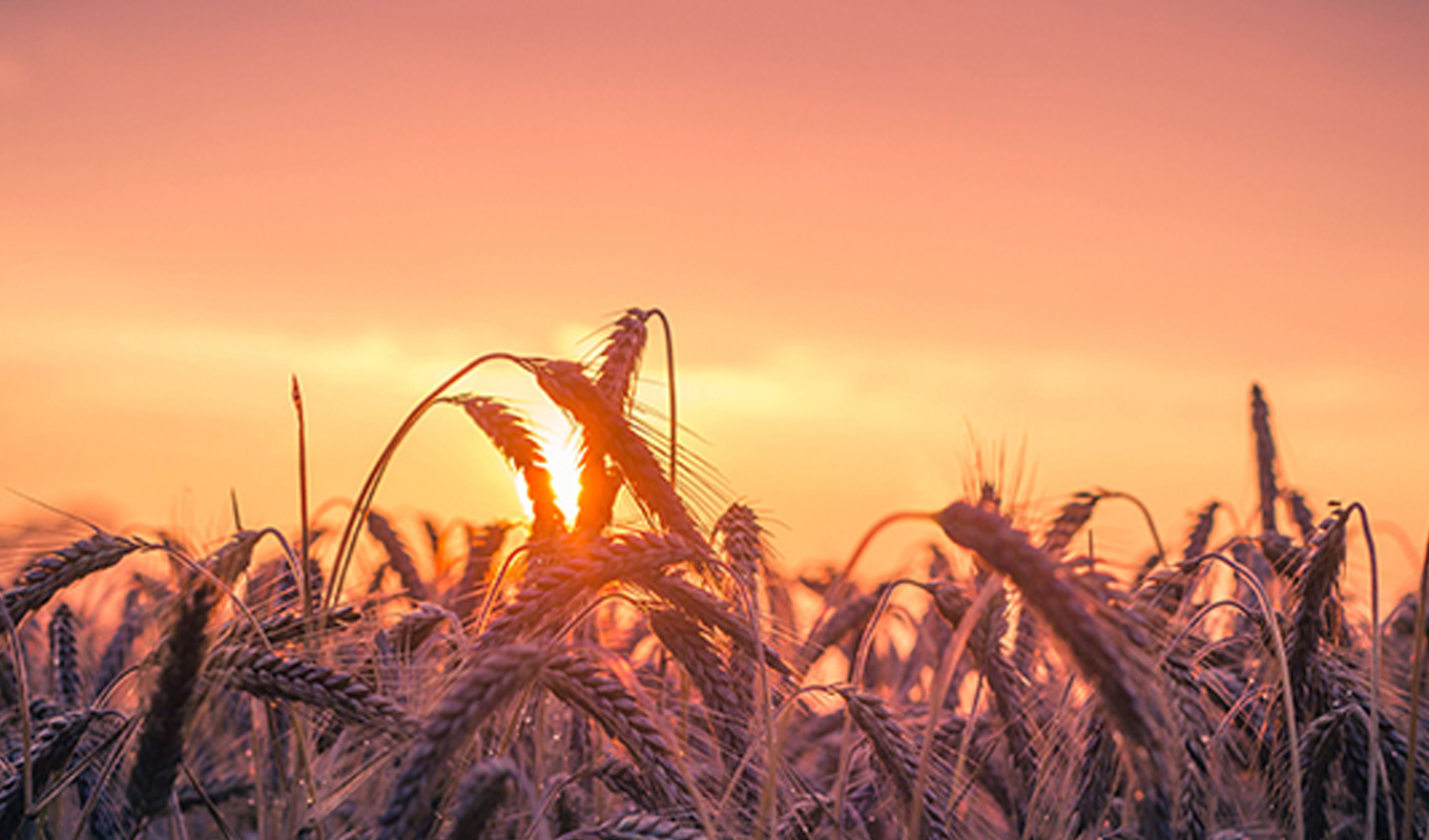 Wunder-Motoren für die Landwirtschaft